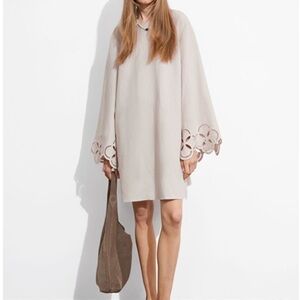 & other stories wide sleeve mini dress